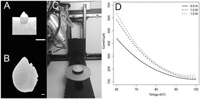 Peeling the Otolith of Fish: Optimal Parameterization for Micro-CT Scanning